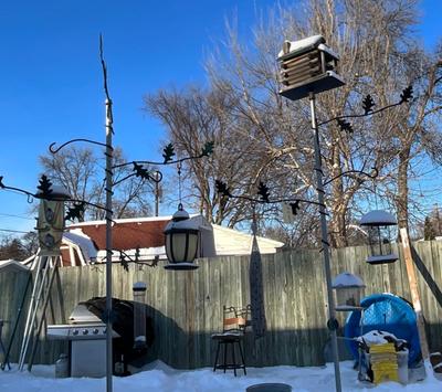 Bird houses