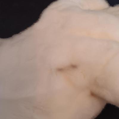 LOT 278: Collection of Vintage Beanie Babies