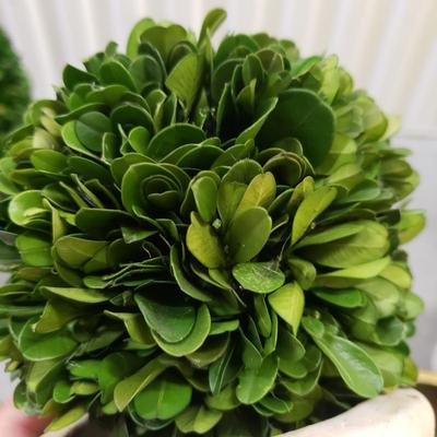 Faux Flowers, Potted Topiary and Dried Wreath (2058F-KD)