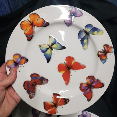 Dransfield & Ross Butterfly China (1020CR-ES)