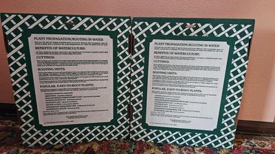 Planter pots and handcrafted plant rooters