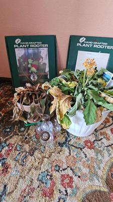 Planter pots and handcrafted plant rooters