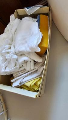 Cleaning supplies and trash can