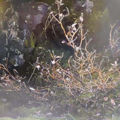 Framed Photograph of Iceland (1020CL-KD)