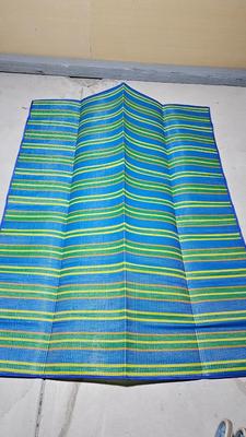 Folding beach rug, water floaties, and water shoes