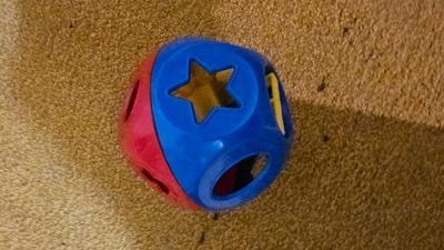 Assortment of kid toys - plastic animals - sack of blocks - Barney piano