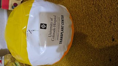 Assortment of kid toys - plastic animals - sack of blocks - Barney piano