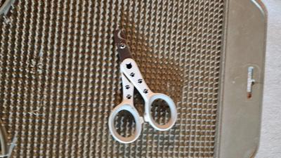 Cat items - Toys - food and water bowls - and more