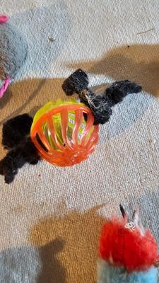 Cat items - Toys - food and water bowls - and more