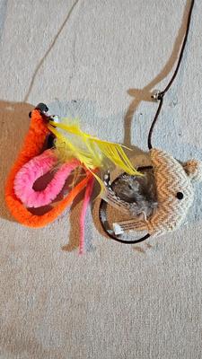 Cat items - Toys - food and water bowls - and more