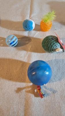 Cat items - Toys - food and water bowls - and more