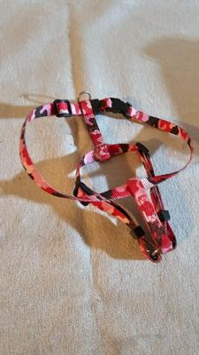 Cat items - Toys - food and water bowls - and more