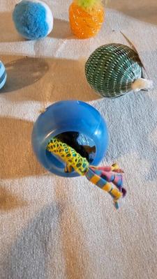 Cat items - Toys - food and water bowls - and more