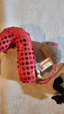 Cat items - Toys - food and water bowls - and more