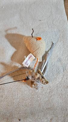 Cat items - Toys - food and water bowls - and more