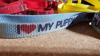 Dog items - leashes - toys - food and water bowls and more