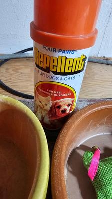 Dog items - leashes - toys - food and water bowls and more