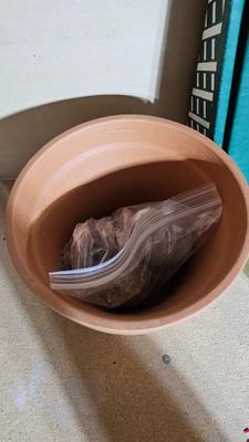 Assortment of Vases and three new handcrafted plant rooters