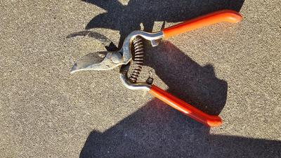 Small gardening tools - hand rakes - hedge scissors, and more