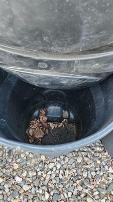 Trash cans with lids and a box of jumbo marathon 2-ply toilet paper