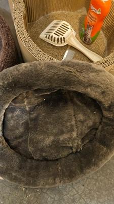 Cat beds, scratchers, and toys