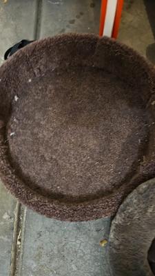 Cat beds, scratchers, and toys