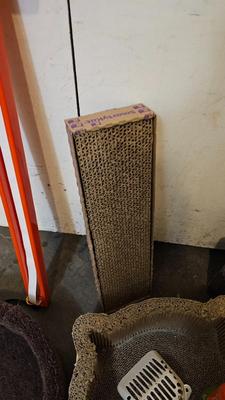 Cat beds, scratchers, and toys