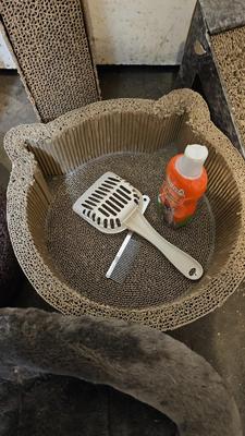 Cat beds, scratchers, and toys