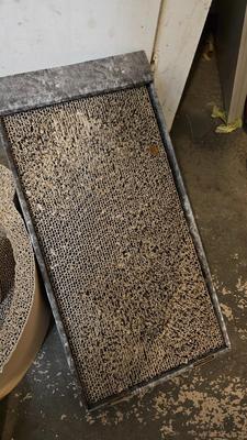 Cat beds, scratchers, and toys