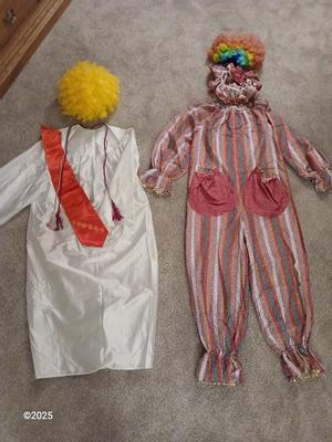 Costumes - Clown and a Graduate - with two fun two wigs