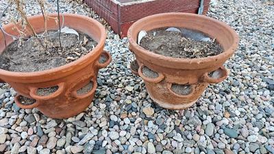 Two terracotta strawberry plant pots