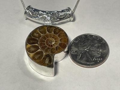 Never Worn Condition Sterling Silver Natural Ammonite Fossil Pendant Bezel Set on Sterling Silver 24" Chain as Pic'd. FREE...