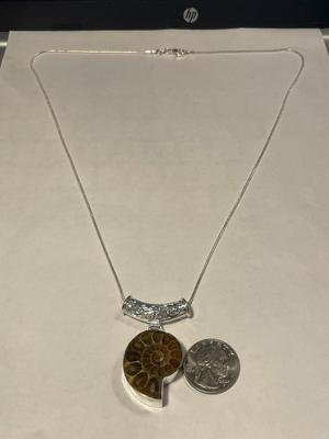 Never Worn Condition Sterling Silver Natural Ammonite Fossil Pendant Bezel Set on Sterling Silver 24" Chain as Pic'd. FREE...