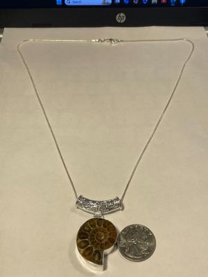 Never Worn Condition Sterling Silver Natural Ammonite Fossil Pendant Bezel Set on Sterling Silver 24" Chain as Pic'd. FREE...