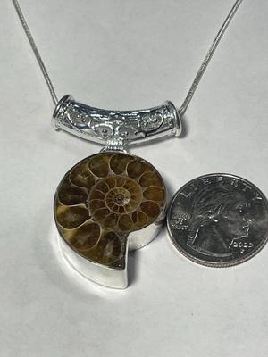 Never Worn Condition Sterling Silver Natural Ammonite Fossil Pendant Bezel Set on Sterling Silver 24" Chain as Pic'd. FREE...