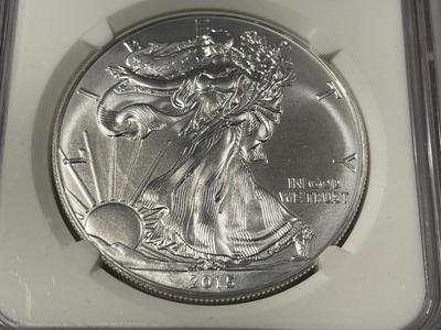 NGC CERTIFIED 2015 MS70 FIRST RELEASES SILVER EAGLE DOLLAR AS PICTURED. FREE DOMESTIC SHIPPING.