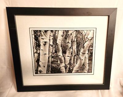 Lot #7 Black/White Photo Print - Framed - signed/numbered