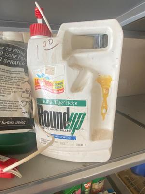 AROUND THE YARD NECESSITIES, GRASS SEED, INSECTICIDES AND MORE!