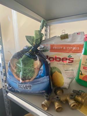 AROUND THE YARD NECESSITIES, GRASS SEED, INSECTICIDES AND MORE!
