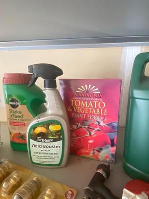 AROUND THE YARD NECESSITIES, GRASS SEED, INSECTICIDES AND MORE!