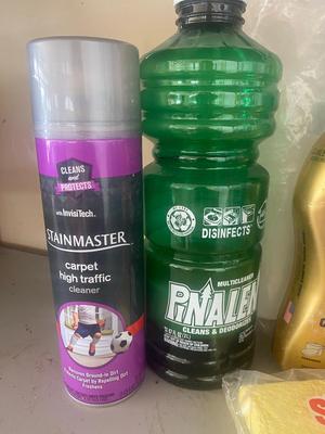 BAR KEEPERS FRIEND, STAIN REMOVERS, WINDEX, HARDWOOD FLOOR CLEANER AND MORE!
