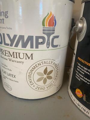 THIS LOT IS A MOST HAVE IF YOU NEED PAINT AND OTHER LIKE ITEMS, DON’T MISS OUT!