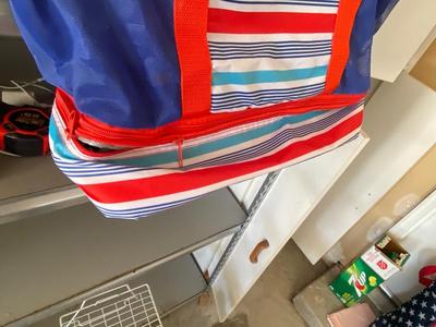 SUPER COOL PICNIC BASKET, BEACH BAG, AND NICE TOTE BAG
