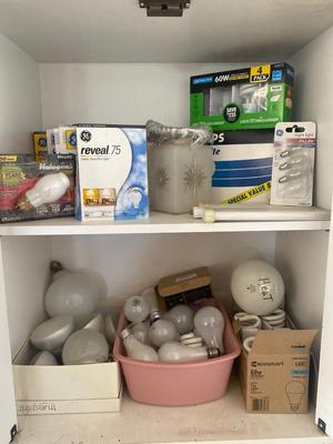 HUGE ASSORTMENT OF LIGHT BULBS! A MUST HAVE FOR ANY HOUSEHOLD