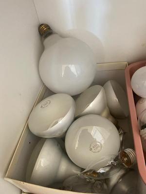 HUGE ASSORTMENT OF LIGHT BULBS! A MUST HAVE FOR ANY HOUSEHOLD