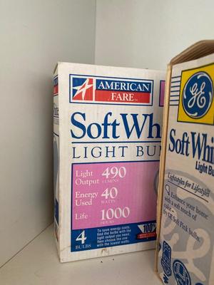 HUGE ASSORTMENT OF LIGHT BULBS! A MUST HAVE FOR ANY HOUSEHOLD