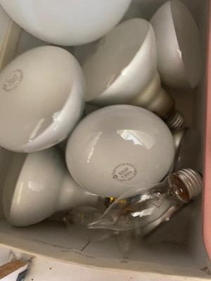 HUGE ASSORTMENT OF LIGHT BULBS! A MUST HAVE FOR ANY HOUSEHOLD