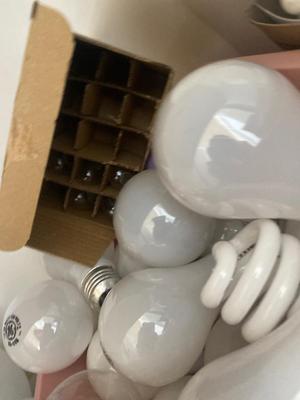 HUGE ASSORTMENT OF LIGHT BULBS! A MUST HAVE FOR ANY HOUSEHOLD
