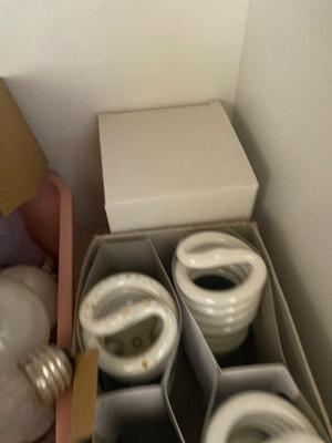 HUGE ASSORTMENT OF LIGHT BULBS! A MUST HAVE FOR ANY HOUSEHOLD