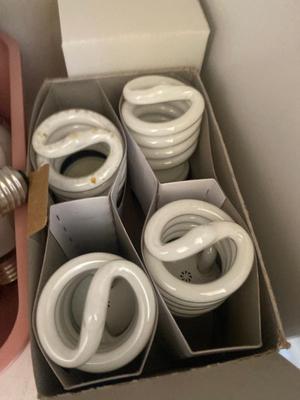 HUGE ASSORTMENT OF LIGHT BULBS! A MUST HAVE FOR ANY HOUSEHOLD